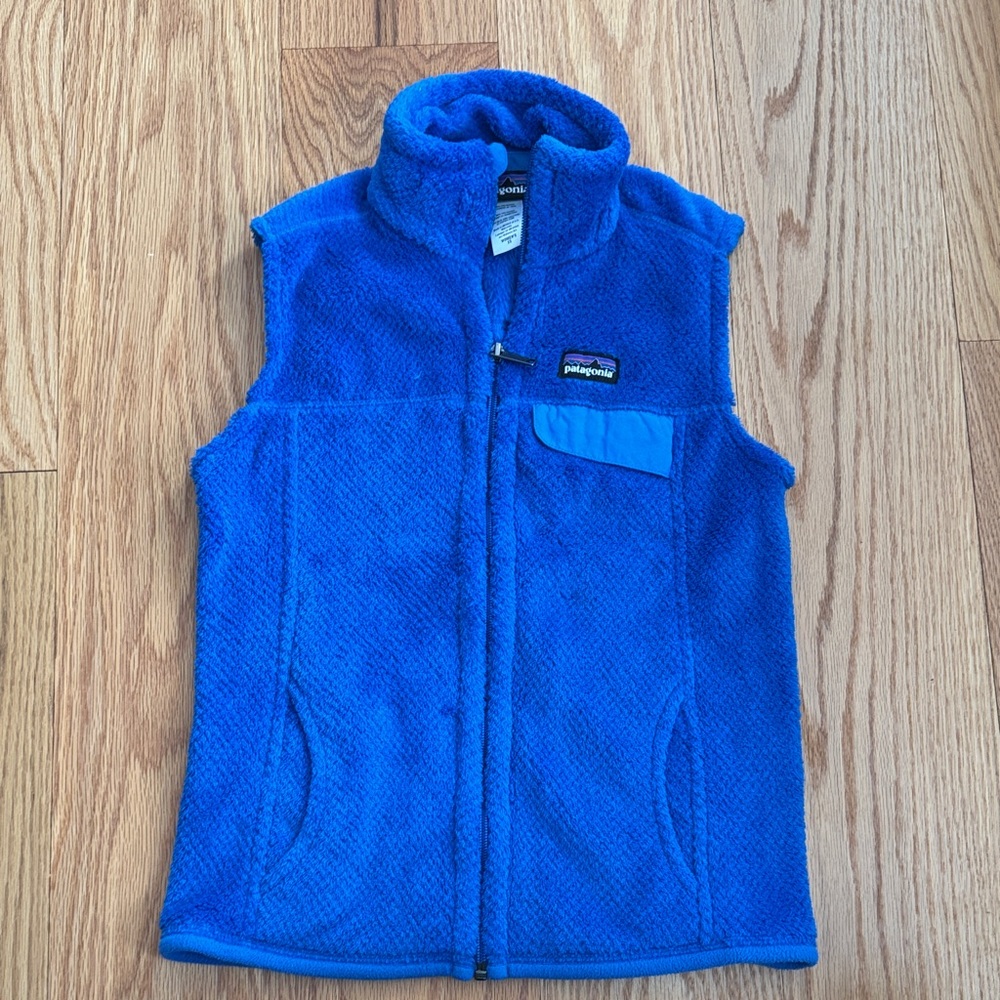 Patagonia Vibrant Blue Fleece Vest